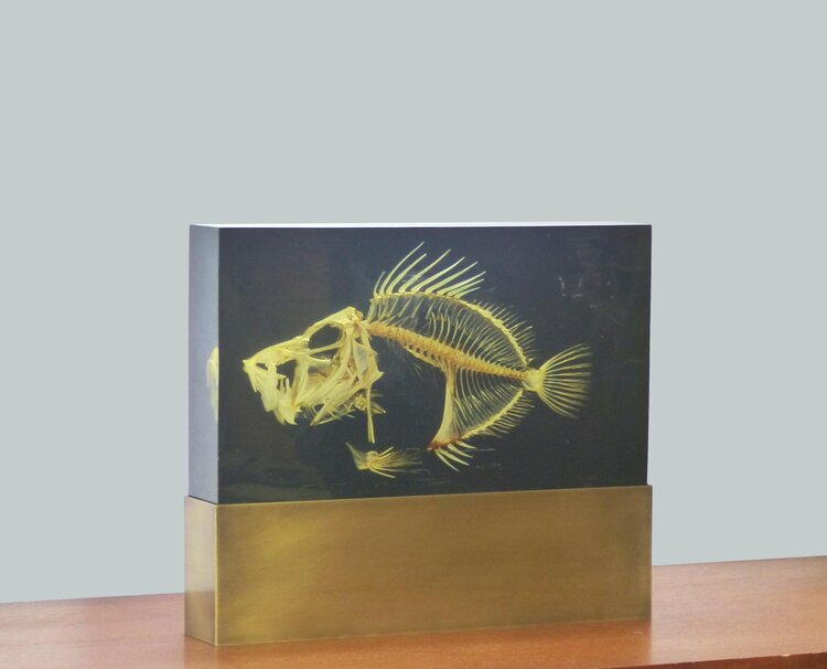 LAMPE INCLUSION SQUELETTE DE POISSON ZEUS FABER - PIERRE GIRAUDON XXL