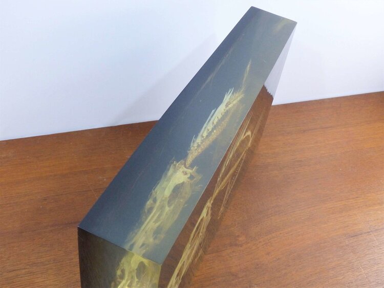LAMPE INCLUSION SQUELETTE DE POISSON ZEUS FABER - PIERRE GIRAUDON XXL