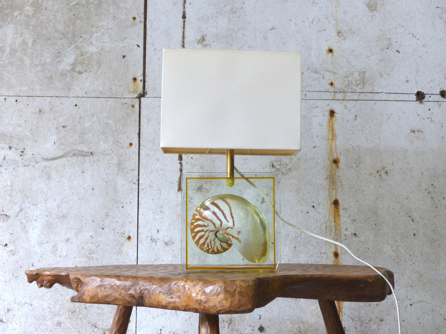 NAUTILE SHELL INCLUSION TABLE LAMP