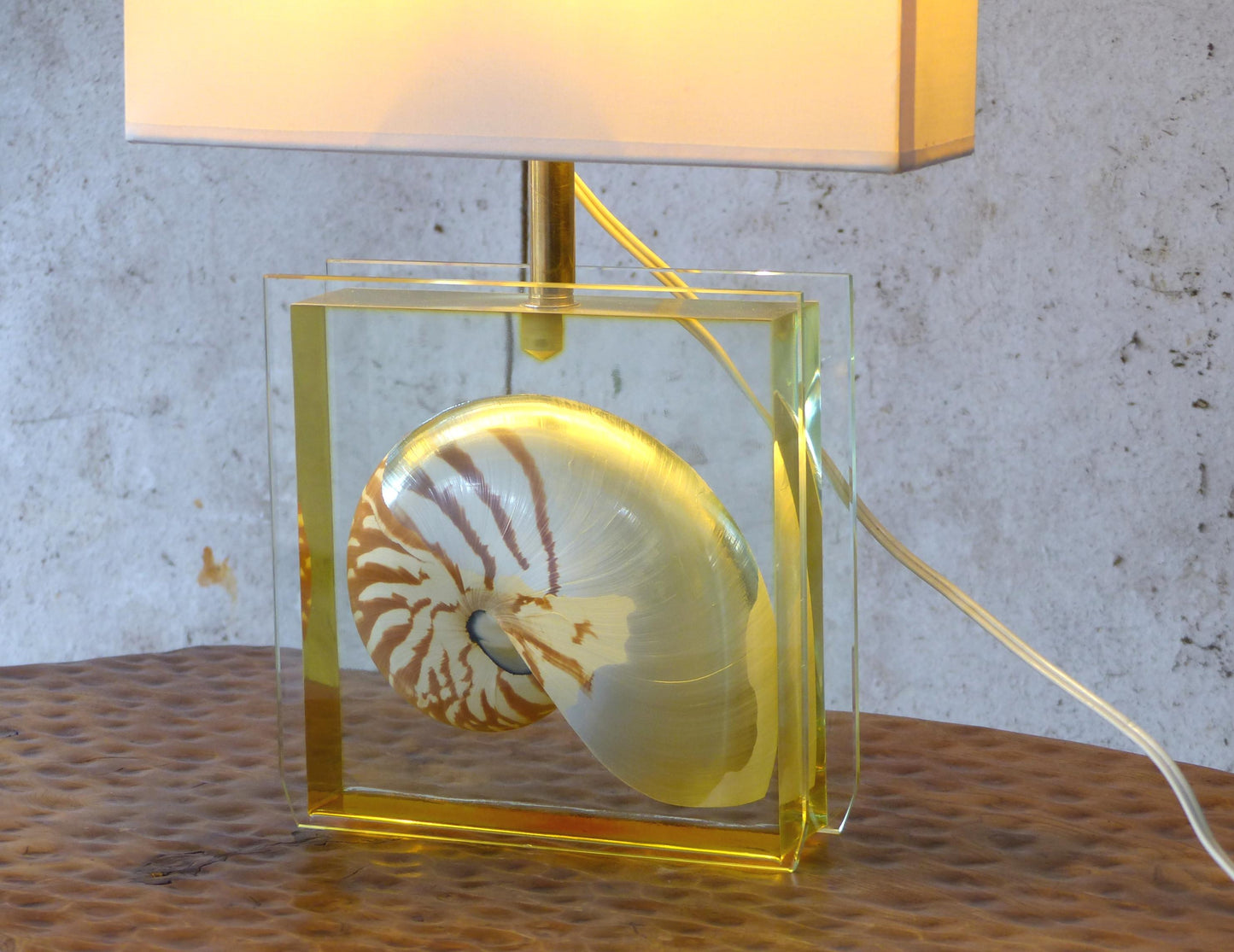 NAUTILE SHELL INCLUSION TABLE LAMP