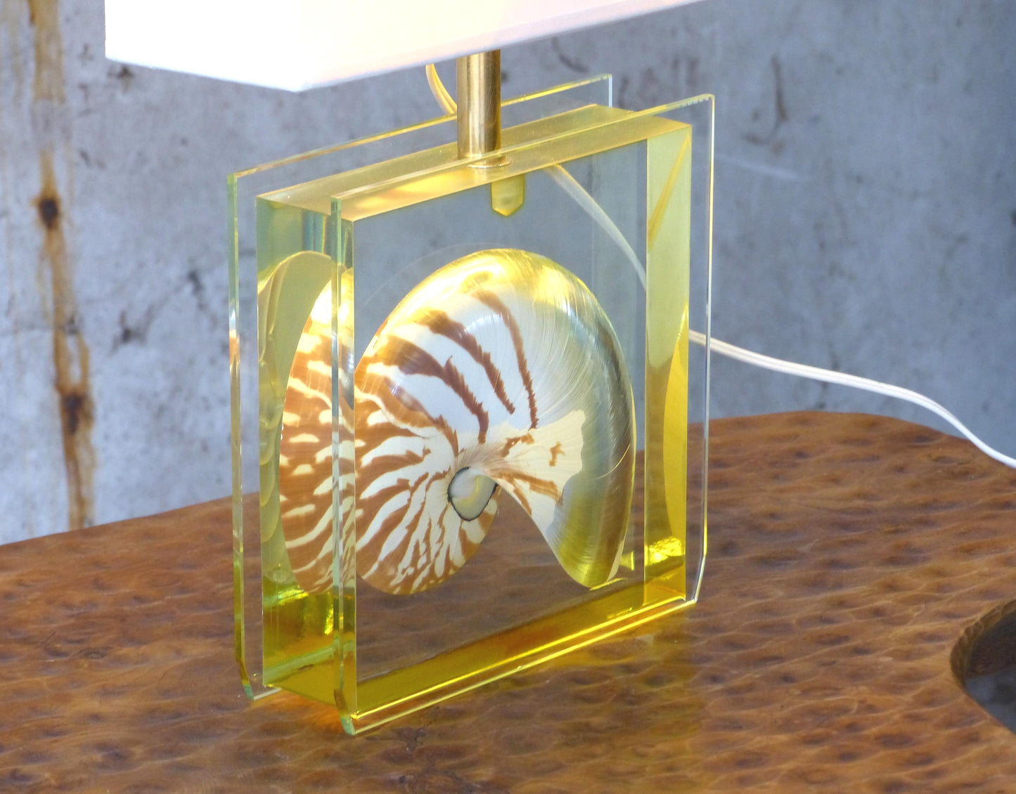 NAUTILE SHELL INCLUSION TABLE LAMP