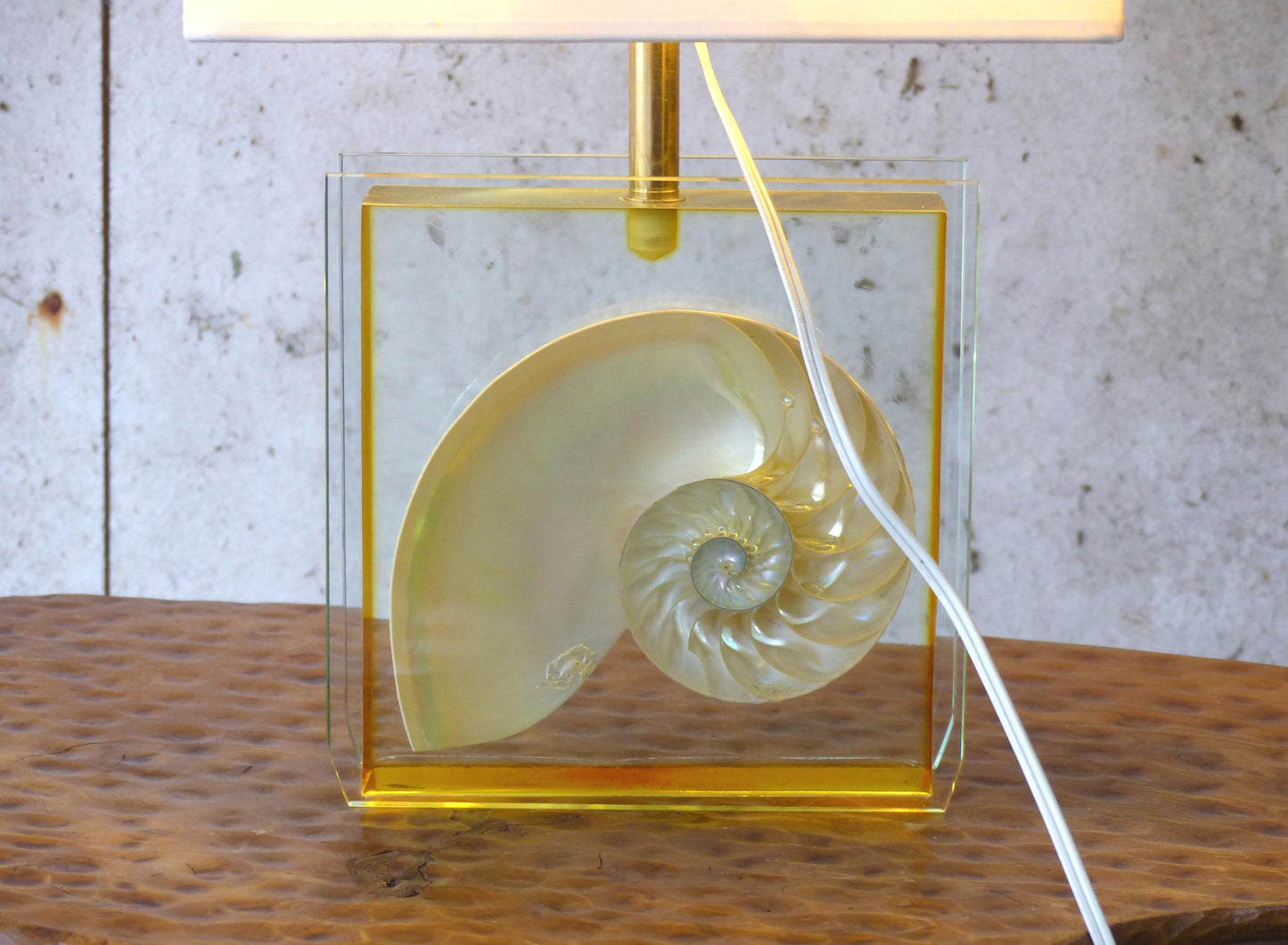 NAUTILE SHELL INCLUSION TABLE LAMP