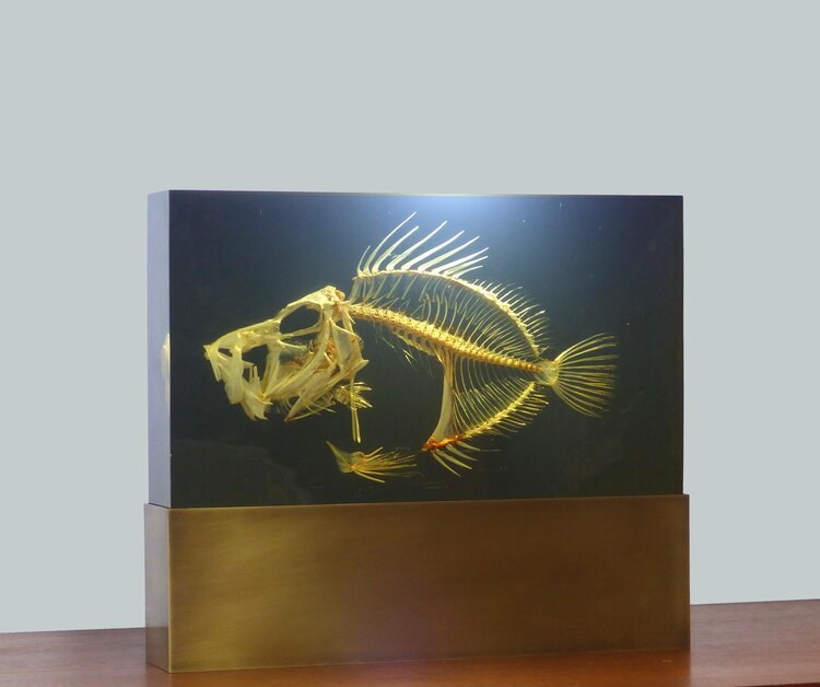 LAMPE INCLUSION SQUELETTE DE POISSON PIERRE GIRAUDON XXL