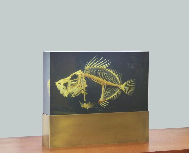 LAMPE INCLUSION SQUELETTE DE POISSON PIERRE GIRAUDON XXL