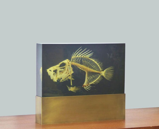 PIERRE GIRAUDON XXL FISH SKELETON INCLUSION LAMP