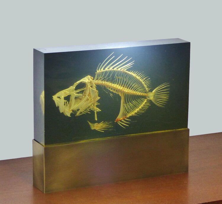 LAMPE INCLUSION SQUELETTE DE POISSON PIERRE GIRAUDON XXL